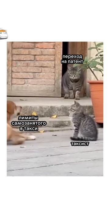 Лимиты по самозанятости в такси