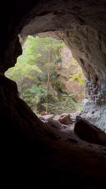 Осенний микс #поход #туризм #сербия смотреть онлайн