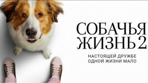 Собачья жизнь 2 ( 2019 ) - Трейлер