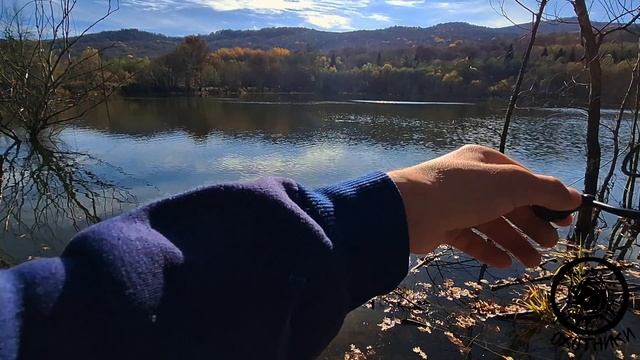 ⁉️Щука там, где её раньше не было. 🤫Рассказ местного сторожилы