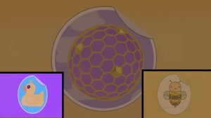 5 ЧАСТЬ. ГДЕ НАХОДЯТСЯ ВСЕ СТИКЕРЫ В УЛЬЕ! В ИГРЕ SUPER BEAR ADVENTURE!