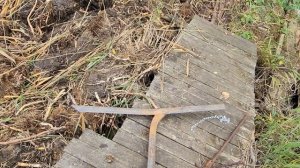 Как убрать из водоёма камыш с корнями? Надёжная технология!