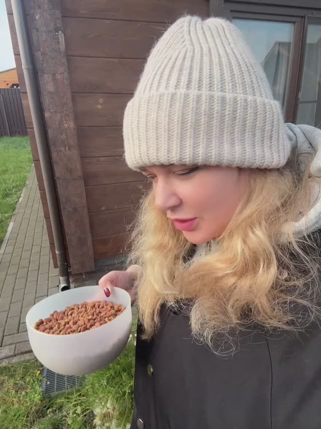 Коты пропали 😧остался один 😔 смотреть онлайн