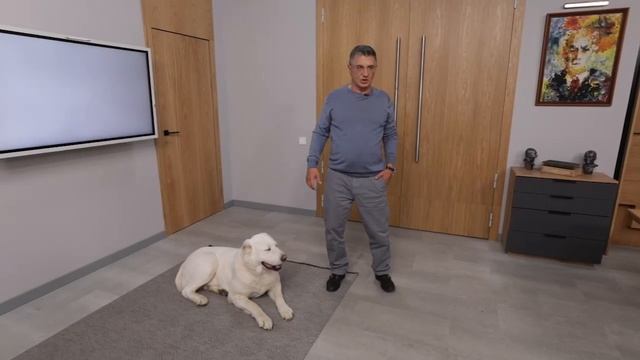 Доктор Мясников о настоящей дружбе. Видеорубрика 