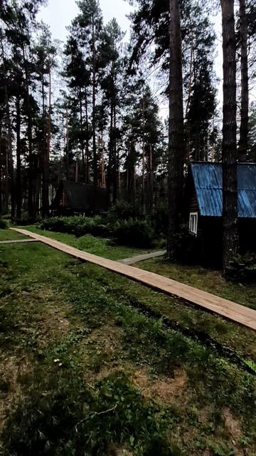 Алтай ♥️ смотреть онлайн