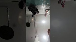 VID_20251108_220259.mp4