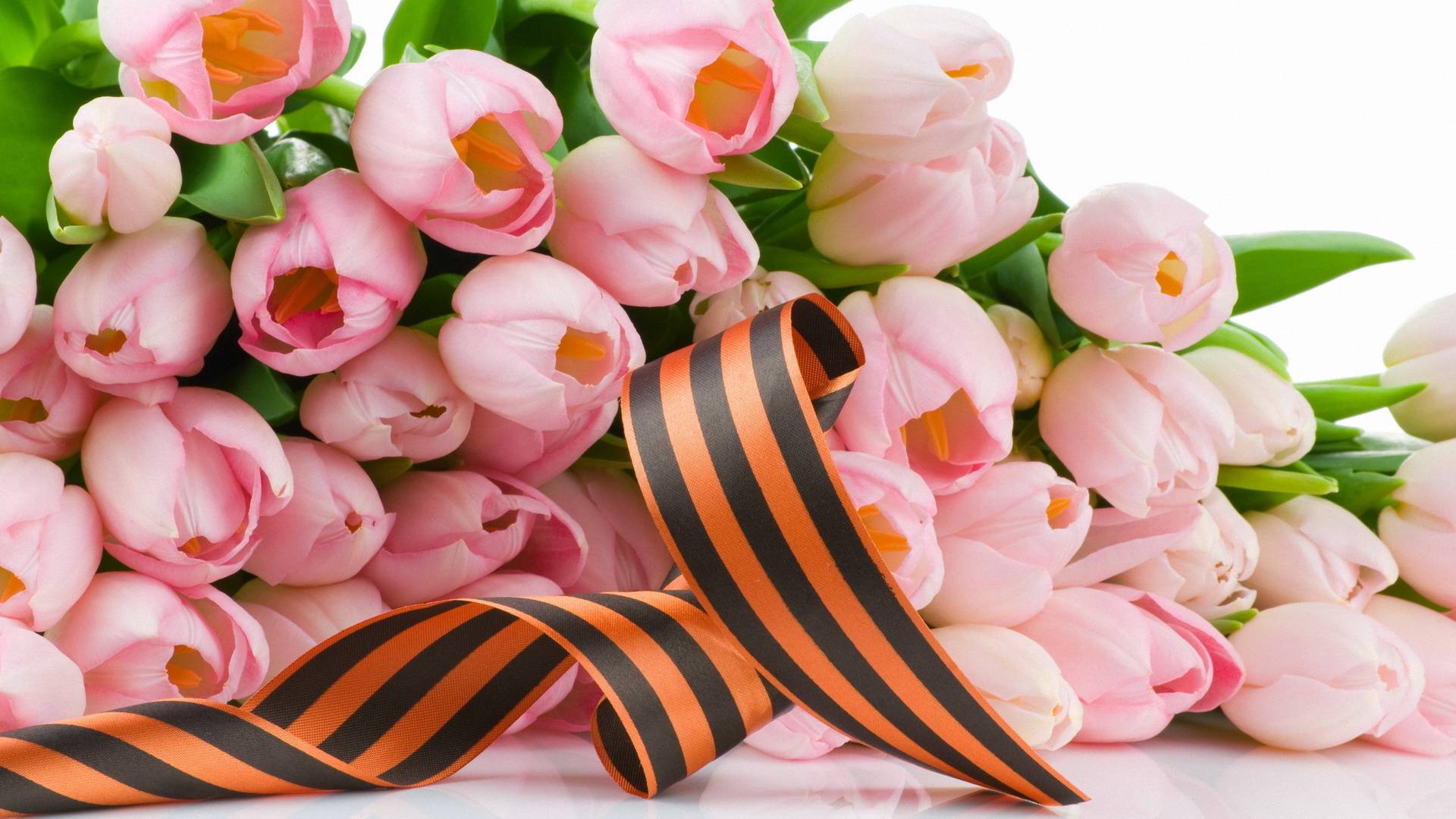 Бичевская Жанна - Курск 141