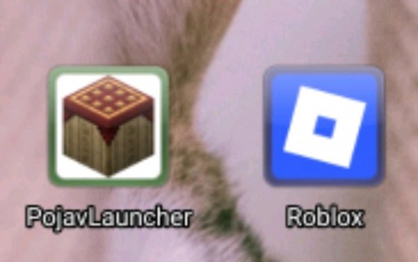 roblox и minecraft