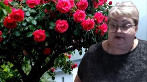 Ну что.... Почитаем ВСЕ❗