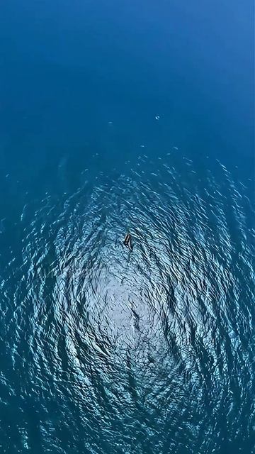 С вертолета в море смотреть онлайн