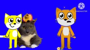 Кот банбан и котулькин 1 серия рыжий кот наказал катулькина
