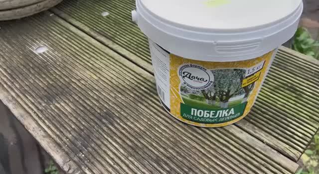 Побелка деревьев осенью. 3 ноября смотреть онлайн