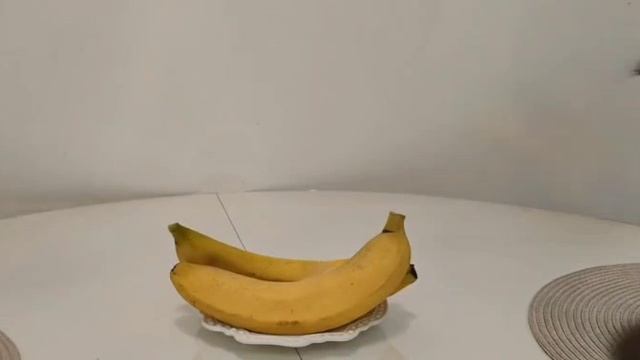 мои питомцы.mp4