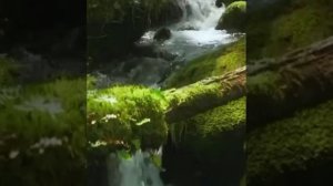 Все начинается с Тебя. Песня , пробуждающая Душу