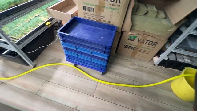 Обзор моей фермы микрозелени! Как устроена ферма микрозелени внутри? смотреть онлайн