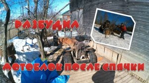 весна новые горизонты