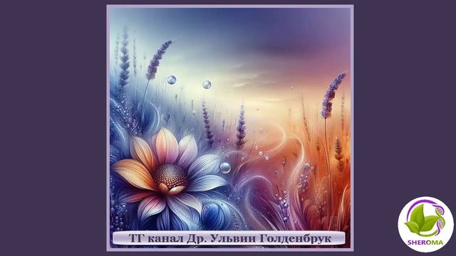 ЛАВАНДОВОЕ ПОЛЕ.  Др.Ульвия Голденбрук #ульвияголденбрук