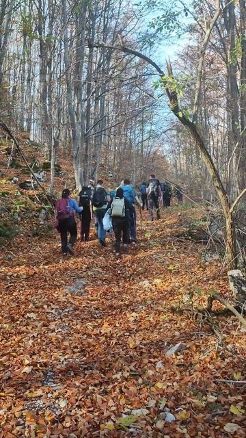 Pasarelo (1524) i Smrdan (1487) iz Divljani Suva Planina (Serbia) смотреть онлайн