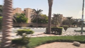 Едем в отель. Погода отличная, а природа интересная.