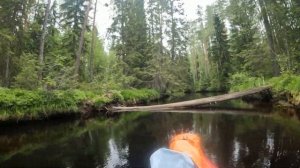 Соло сплав по р. Хейняйоки, Южная Карелия 29.06-5.07.2025г. 2-я серия