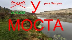 Трилогия "Пехорка".  У МОСТА. 24.10.2025. река Пехорка. п. Красково. Рыбалка в Подмосковье.