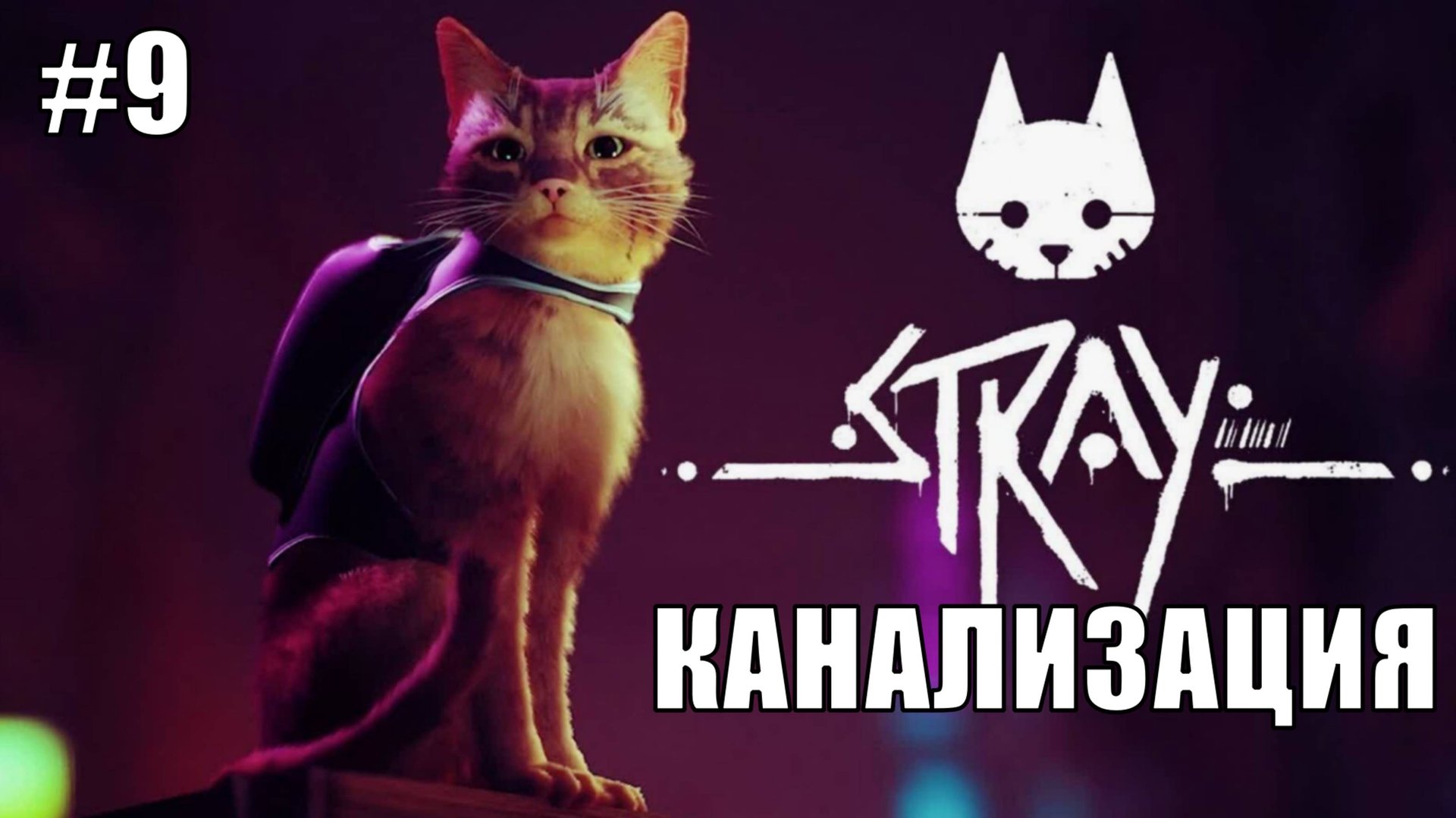 Stray Полное Прохождение на PS5 #9 Канализация #stray #ps5 #ps4 #sony #cats #animals #прохождение