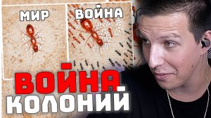 СИМУЛЯЦИЯ МУРАВЬИНОЙ КОЛОНИИ на 1000 дней | РЕАКЦИЯ МАЗЕЛЛОВА