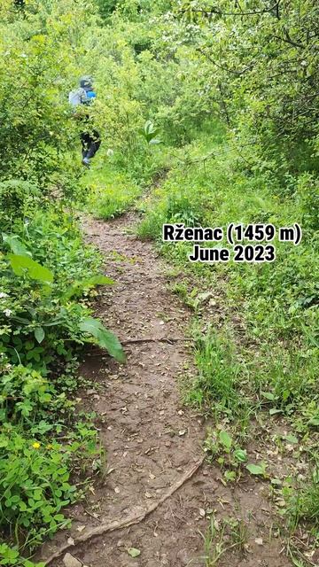 Важный день! День Рождения! смотреть онлайн