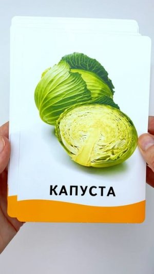 🥕 Учим Овощи! Карточки Домана Для Малышей