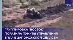 Группировка "Восток" поразила пункты управления БПЛА в Запорожской области
