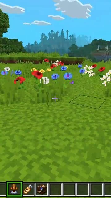 Minecraft CARTOGRAPHER_S GLOBE with Actions & Stuff #minecraft #shorts смотреть онлайн