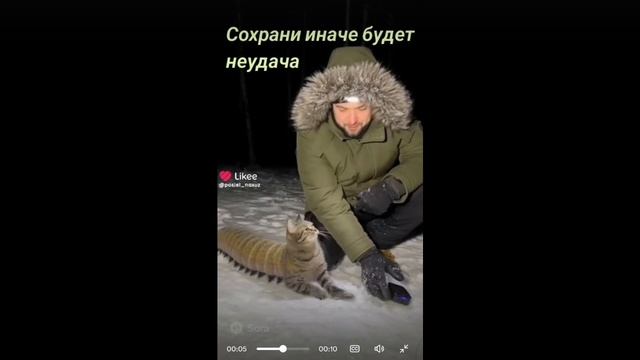 . ЧО ЗА.. смотреть онлайн