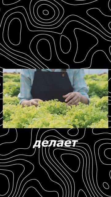 Гидропоника???☘️ смотреть онлайн