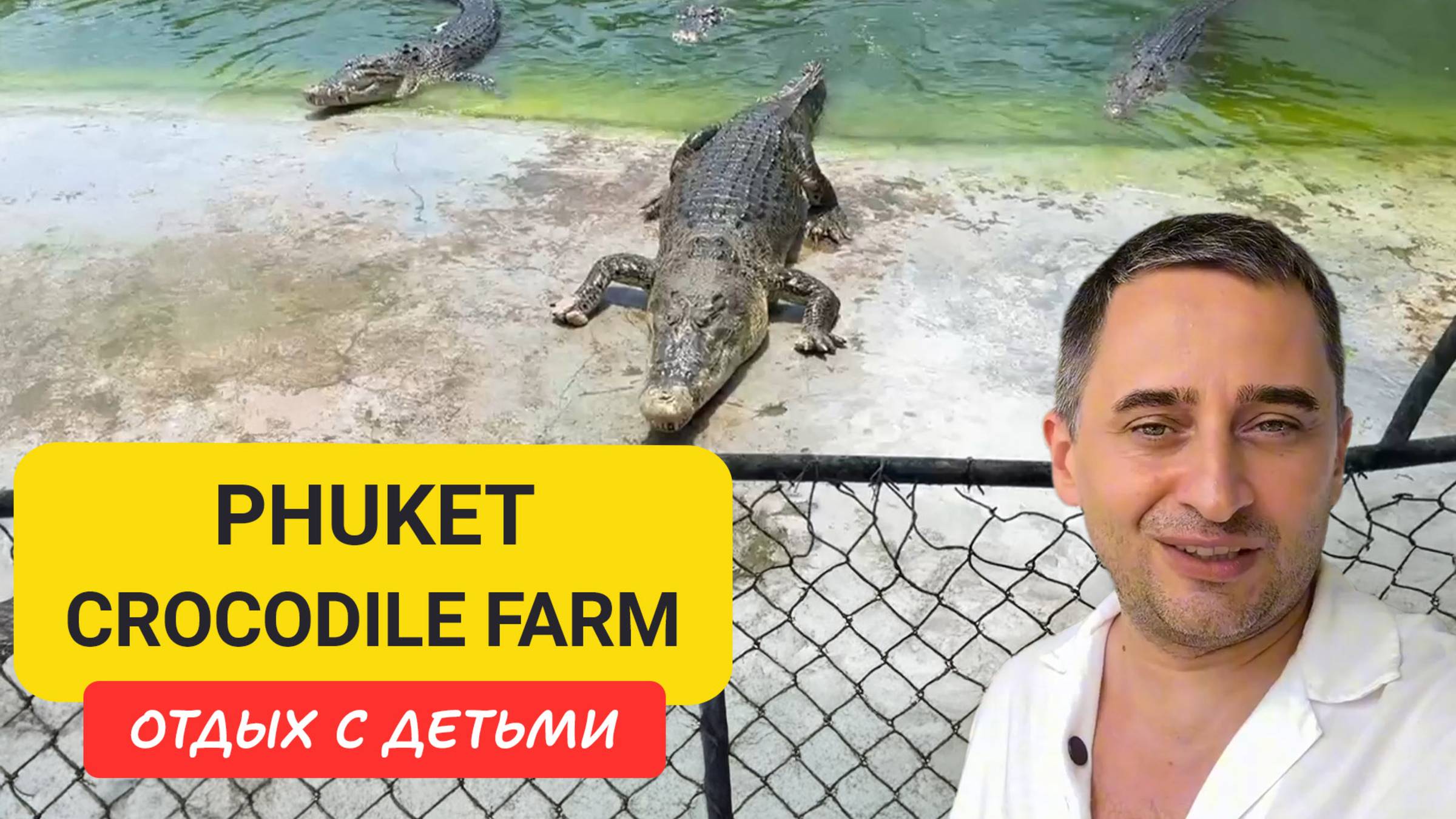 Крокодиловое шоу на Пхукете | Кормим настоящих крокодилов! Семейная локация на Пхукете смотреть онлайн