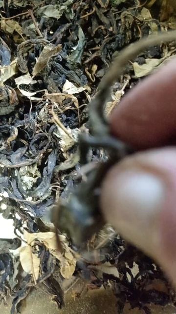 иван-чай с липовым цветом смотреть онлайн