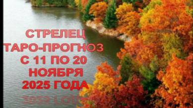 СТРЕЛЕЦ ТАРО-ПРОГНОЗ С 11 ПО 20 НОЯБРЯ 2025 ГОДА смотреть онлайн