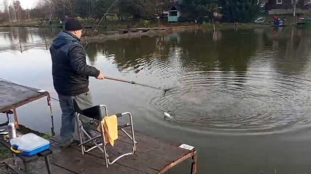 Форель 5 смотреть онлайн