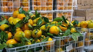 🚦СВЕТОФОР✅ПОРАДОВАЛ🚦МНОГО ПОЛЕЗНОГО ПРИВЁЗ✅