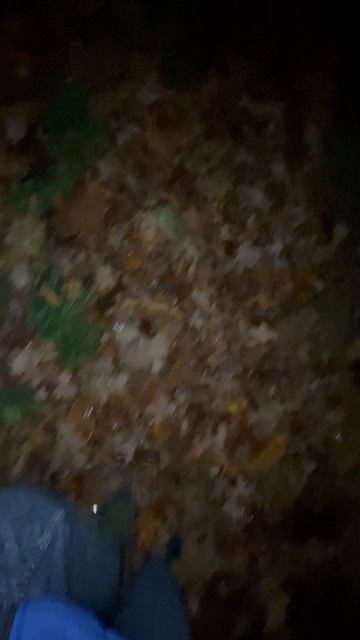 листья…. смотреть онлайн