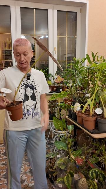 Приглашаю на прямой эфир 9.11.25г. в 11-00 по мск