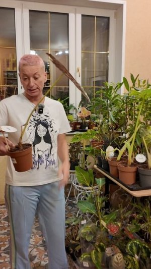 Приглашаю на прямой эфир 9.11.25г. в 11-00 по мск