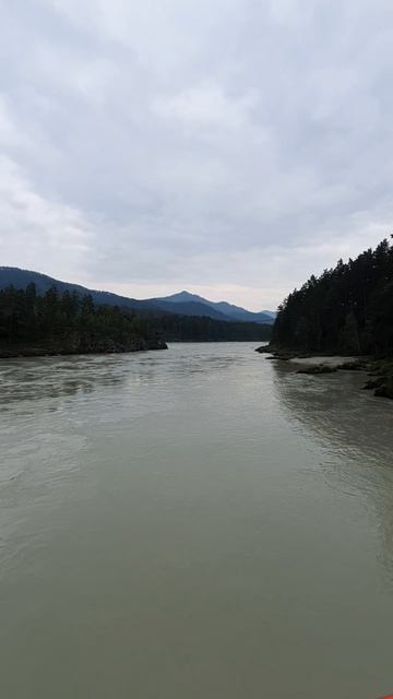 Алтай ♥️ смотреть онлайн