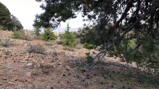 troodos / троодос смотреть онлайн