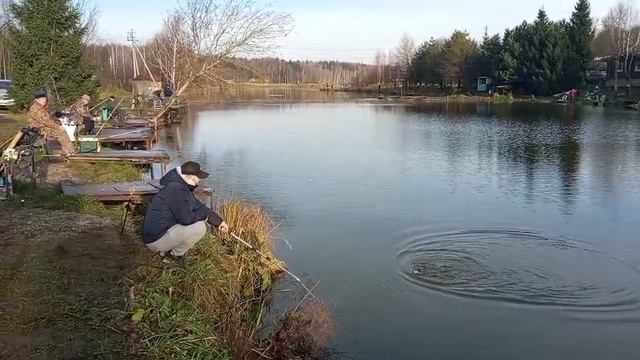 Форель9 смотреть онлайн