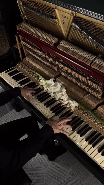 Interstellar #aesthetic #piano #calm смотреть онлайн