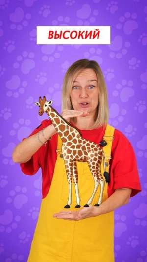 Большой или маленький! Детская песенка