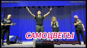"Сормовская лирическая" зрители, гр.САМОЦВЕТЫ и Александр Волкодав в Нижнем Новгороде 07/11/25