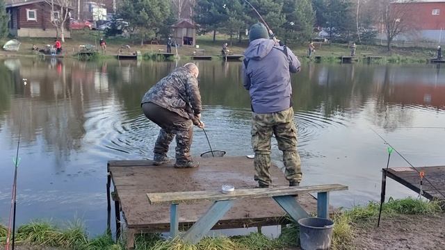 Форель11 смотреть онлайн