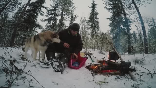 НАШЛИ ИЗБУ, НО ОНА СГОРЕЛА. ПОХОД В ЛЕС. смотреть онлайн