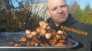 МУКБАНГ Шашлык из куриной грудки/Обжор куриные крылышки на углях